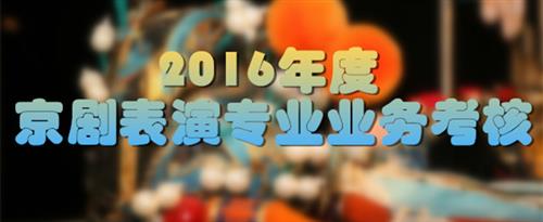 日日本老女人的大肥逼国家京剧院2016年度京剧表演专业业务考...